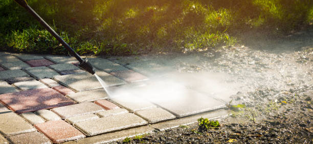Best Animal Enclosure Cleaning  in Oglala, SD